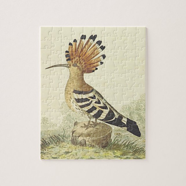 Vintage Darstellung eines Vogelpuzzles (Vertikal)