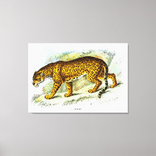 Vintage Darstellung von Jaguar Leinwanddruck