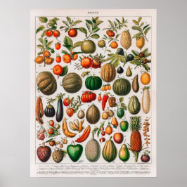 Vintage Darstellung von Obst und Gemüse Poster