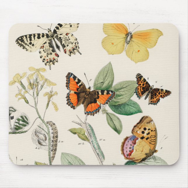 Vintage Darstellung von Schmetterlingen Mousepad (Vorne)
