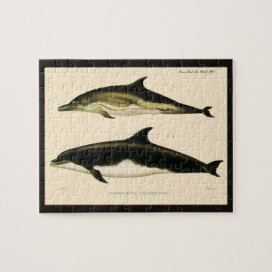 Vintage-Delfine, Meeressäugetiere Tiere 