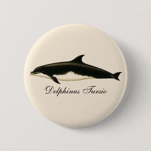 Vintage Delphine Delphinus Tursio, Meeressäugetier Button (Vorderseite)
