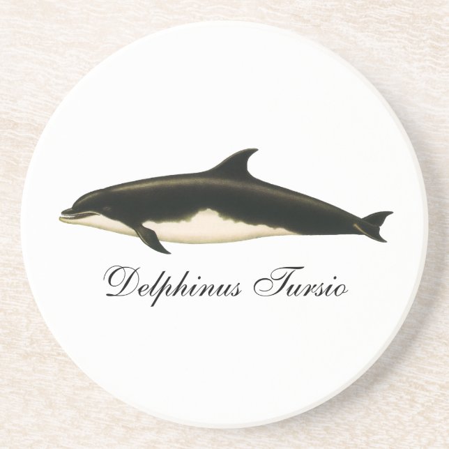 Vintage Delphine Delphinus Tursio, Meeressäugetier Sandstein Untersetzer (Vorne)