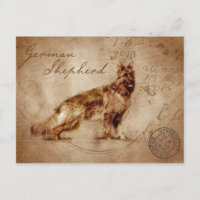 Vintage Deutsche Schäferhund Postkarte