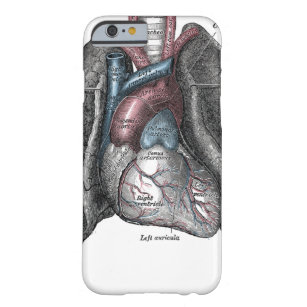 Anatomisches Herz Iphone Hullen Zazzle Ch