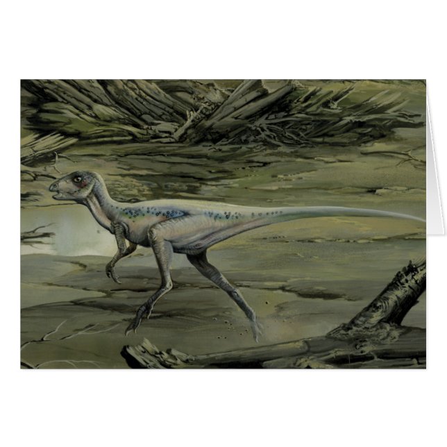 Vintage Dinosaurier, ein krebserregendes Hypsiloph (Vorderseite (Horizontal))