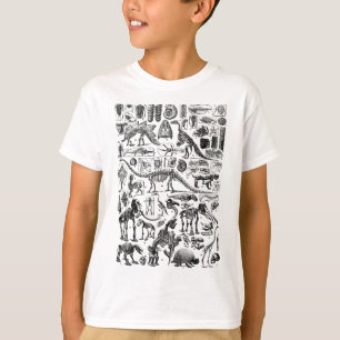 Vintage-Dinosaurier-Fossilien T-Rex Paläontologie T-Shirt
