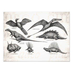 Vintage Dinosaurier-Illustrations-Retro Fotodruck