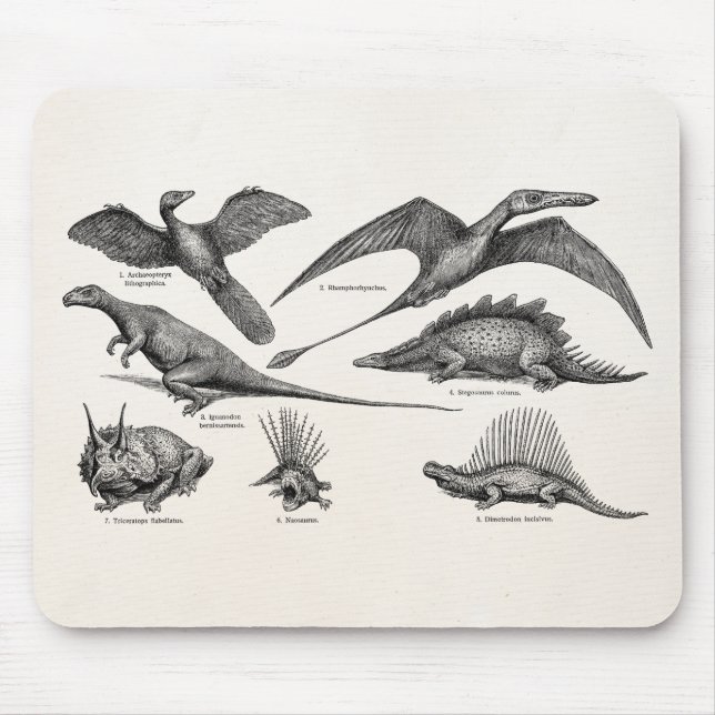 Vintage Dinosaurier-Illustrations-Retro Mousepad (Vorne)