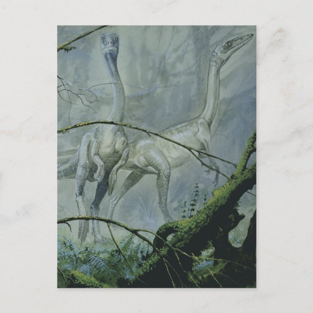 Vintage Dinosaurier, Megapnosaurus aka Syntarsus Postkarte (Vorderseite)