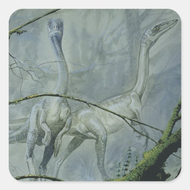 Vintage Dinosaurier, Megapnosaurus aka Syntarsus Quadratischer Aufkleber (Vorderseite)