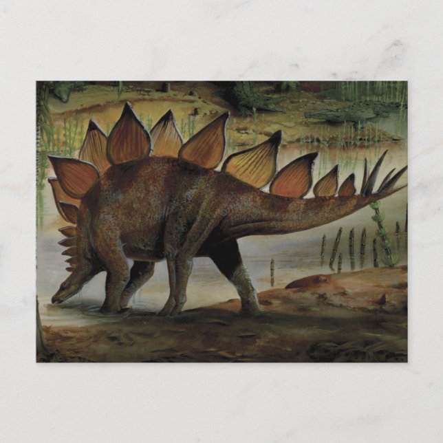 Vintage Dinosaurier, Stegosaurus, Schwanz mit Spik Postkarte (Vorderseite)