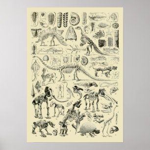 Vintage-Dinosaurierknochen-Fossilien-Kunst Poster