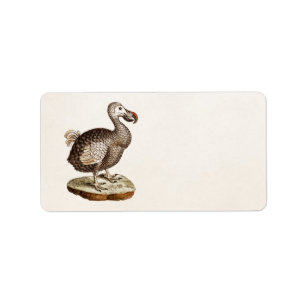 Vintage Dodo-Bird-Illustration 1700 Dodo-Vögel Adressaufkleber