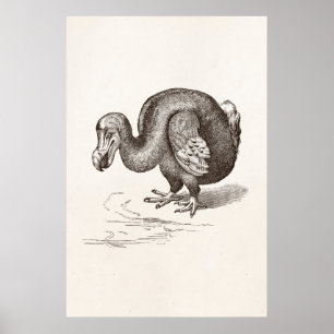 Vintage Dodo-Bird-Vorlage Poster