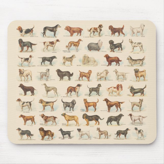 Vintage Dog Breed Drawings Mousepad (Vorne)