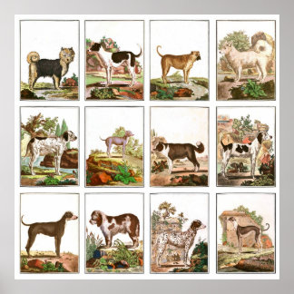 Vintage Dog Collage Poster