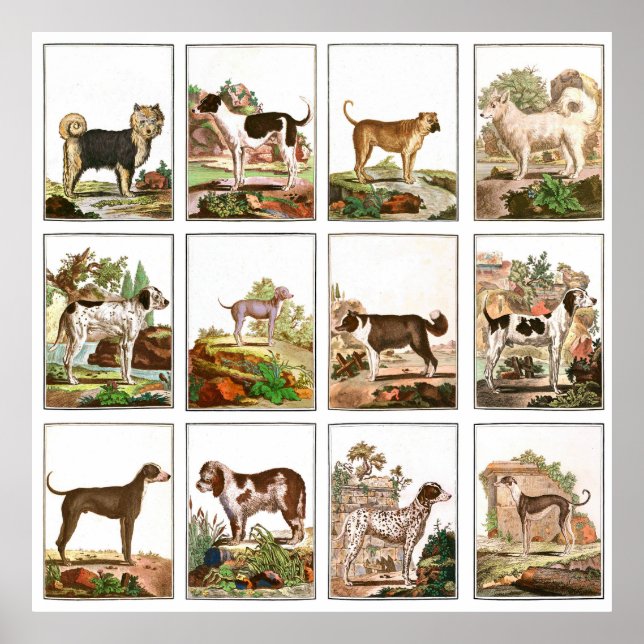 Vintage Dog Collage Poster (Vorne)