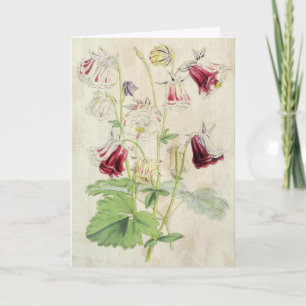 Vintage Doppelkarnation-Stripte Kolumne Karte