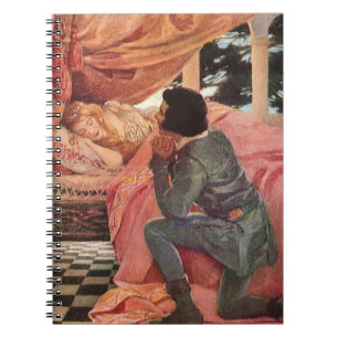 Vintage Dornröschen von Jessie Willcox Smith Notizblock
