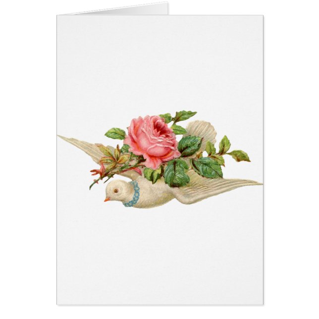 Vintage Dove et Rose (Devant)