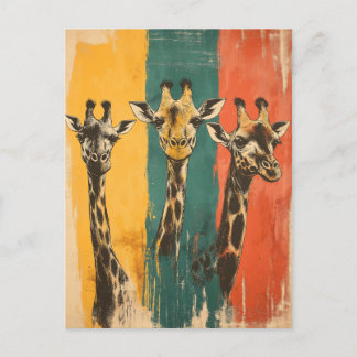 Vintage Drei Giraffen auf  Postkarte