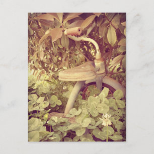 Vintage-Dreirad Postkarte