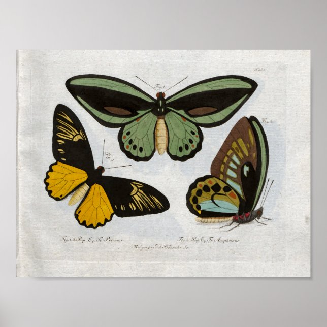 Vintage Druckdownloads Poster (Vorne)