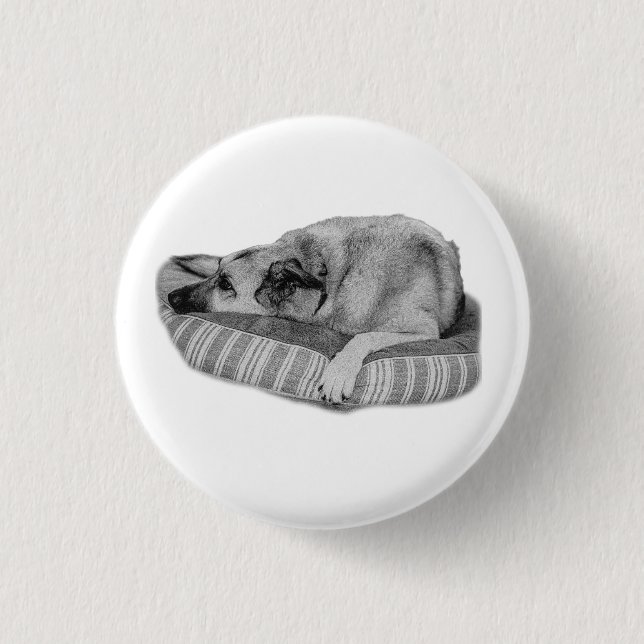 Vintage Ease, Stripe Pet Pin Button (Vorderseite)