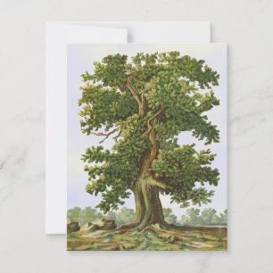Vintage-Eichenbaum-Leerkarte 10,8x14 cm