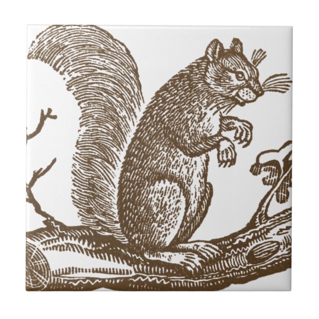 Vintage Eichhörnchen Fliese (Vorderseite)