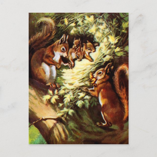 Vintage Eichhörnchen Postkarte (Vorderseite)