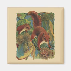 Vintage Eichhörnchen, Waldtiere, Wilde Tiere Magnet