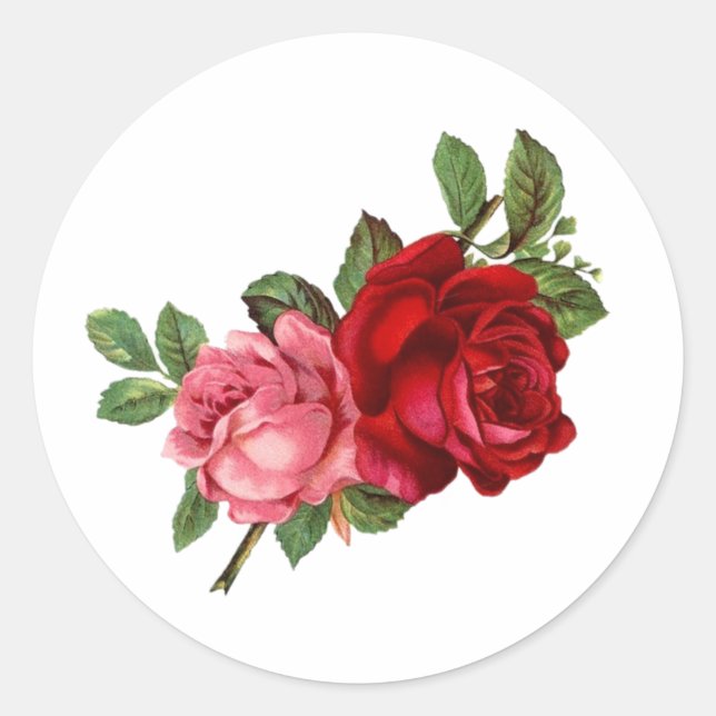 Vintage elegante Rose rosa Runder Aufkleber (Vorderseite)