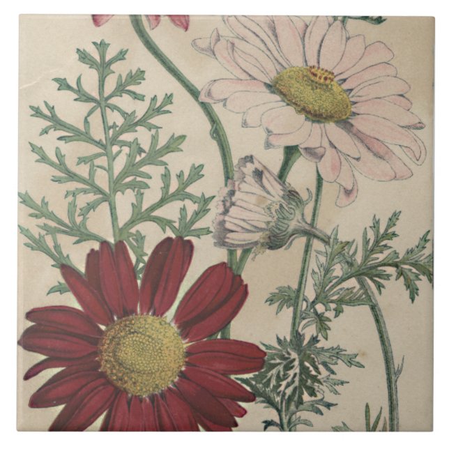 Vintage, elegante, stylische Kachel (Vorderseite)