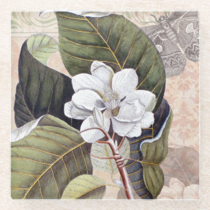 Vintage Eleganz Südliche Magnolie Chic Glasuntersetzer