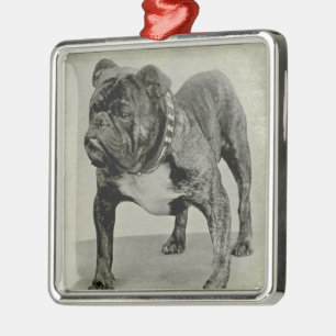 Vintage englische Bulldoggen-Fotografie Silbernes Ornament