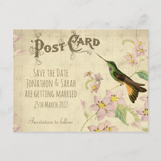 Vintage enregistrer la date carte postale colibri (Devant)