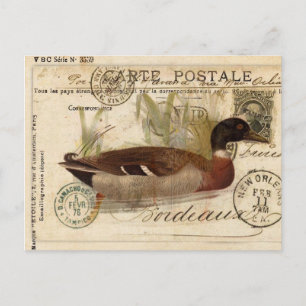 Vintage-Entenkarte Postkarte