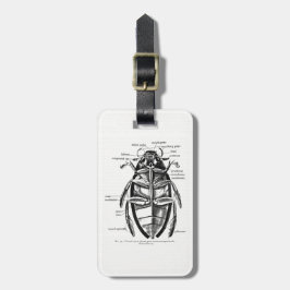 Vintage Entomologie Hydrophilidae Gepäckanhänger