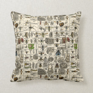 Vintage Entomologie Kissen
