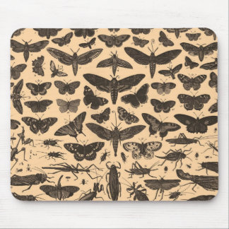 Vintage-Entomologie-Mauspad Mousepad