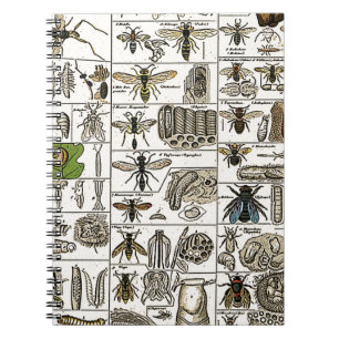 Vintage Entomologie Notizblock