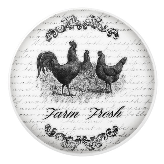 Vintage Entwurfs-Tür-oder Fach-Griffe Keramikknauf (Vorderseite)