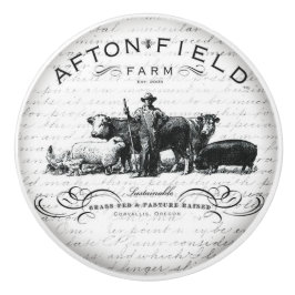 Vintage Entwurfs-Tür-oder Fach-Griffe Keramikknauf