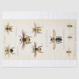 Vintage Ephemera Script Bee Decoupage Seidenpapier