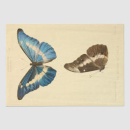 Vintage Ephemera Script Blue Butterfly Decoupage Seidenpapier