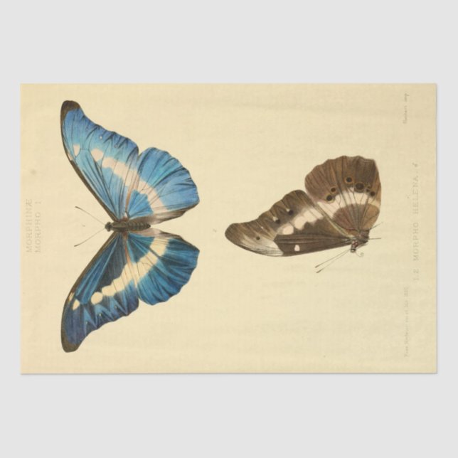 Vintage Ephemera Script Blue Butterfly Decoupage Seidenpapier (Vorderseite)