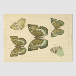 Vintage Ephemera Script Green Butterfly Decoupage Seidenpapier