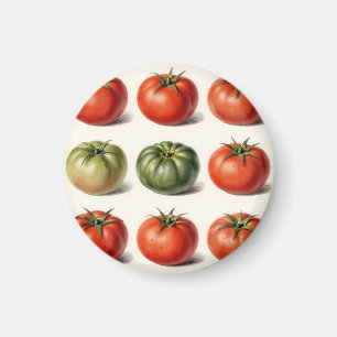 Vintage-Erbstück-Tomaten-Vielfalt-Botanikraster Magnet